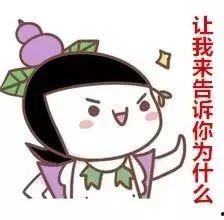 娱乐吃瓜酱爱藏在废话里,藏在废话里的趣味揭秘