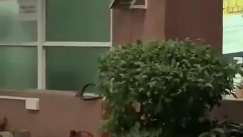 广州今日吃瓜新闻,揭秘网红餐厅风波背后的真相